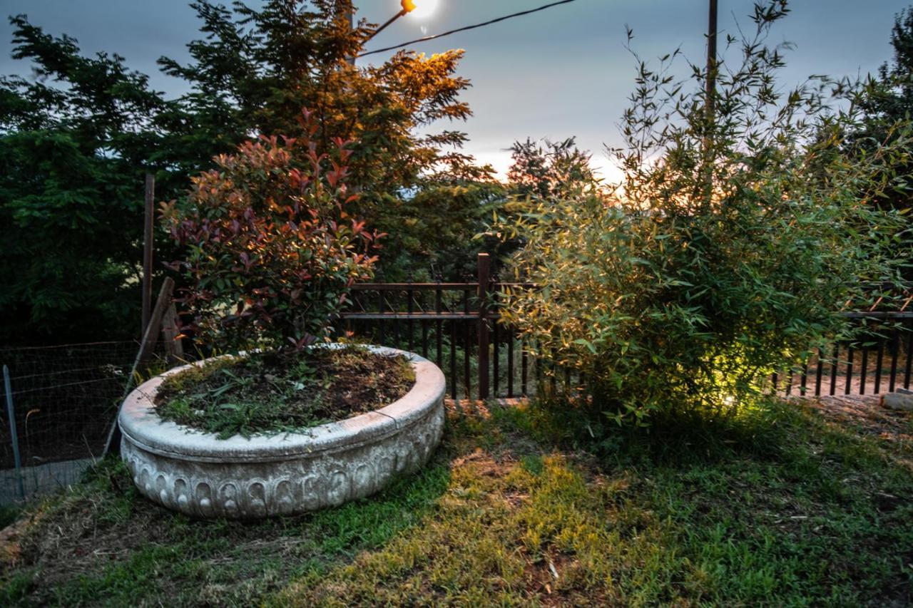 La Torre-1984 Bed & Breakfast Sarnelli Exterior photo